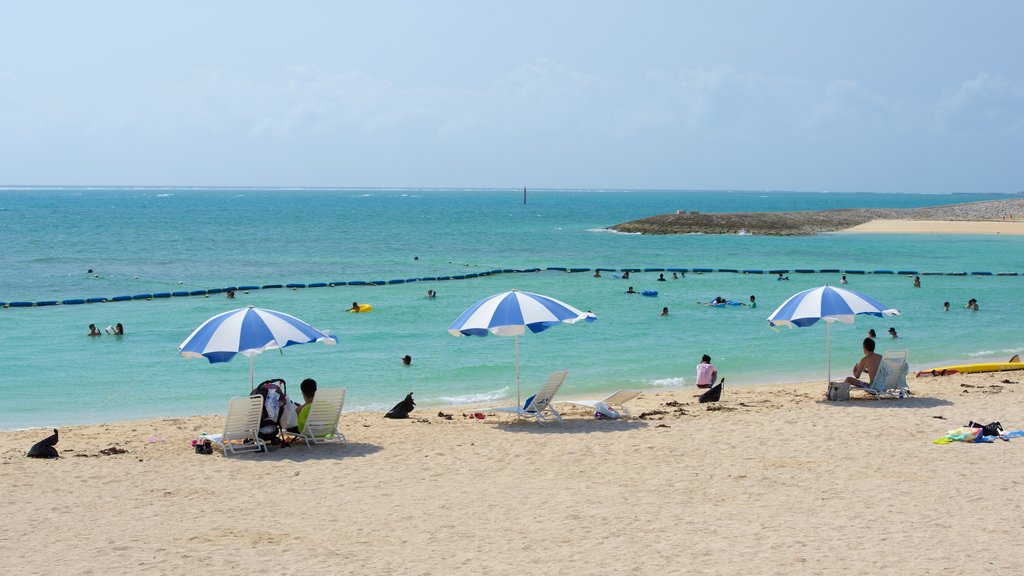 Okinawa which includes a sandy beach and swimming as well as a large group of people