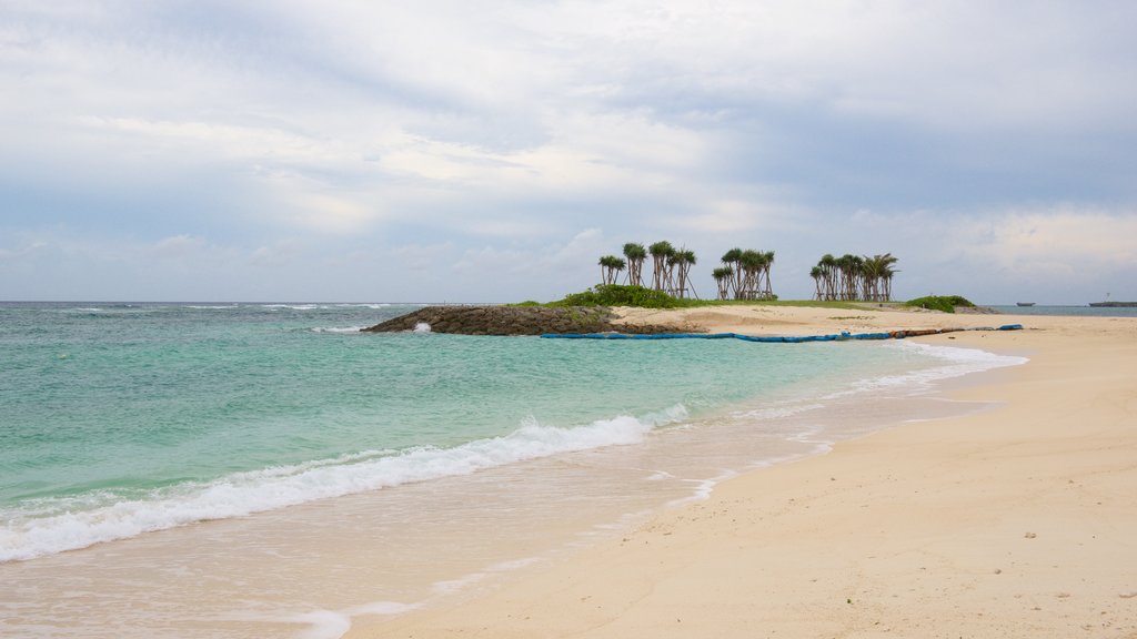 Okinawa showing a beach