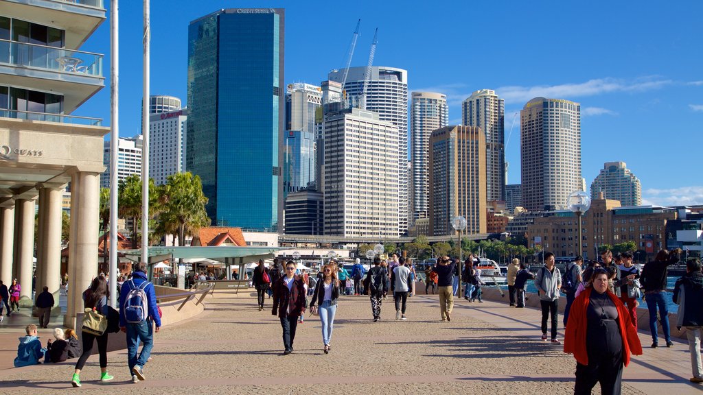 Circular Quay featuring a city, street scenes and central business district