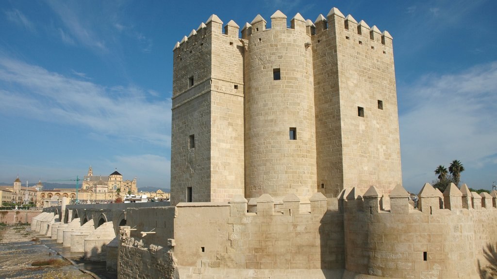 Córdoba que inclui arquitetura de patrimônio, um castelo e uma cidade