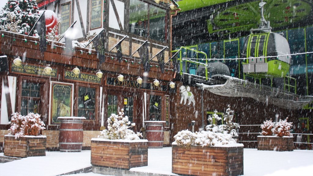 Estación de esquí de Panticosa ofreciendo una góndola, nieve y una pequeña ciudad o pueblo