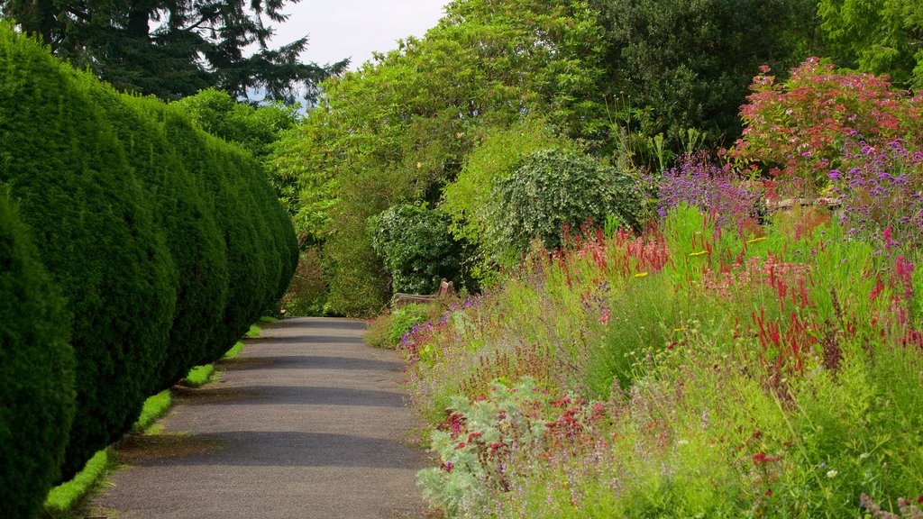 Lake District Visitor Centre at Brockhole showing flowers and a park