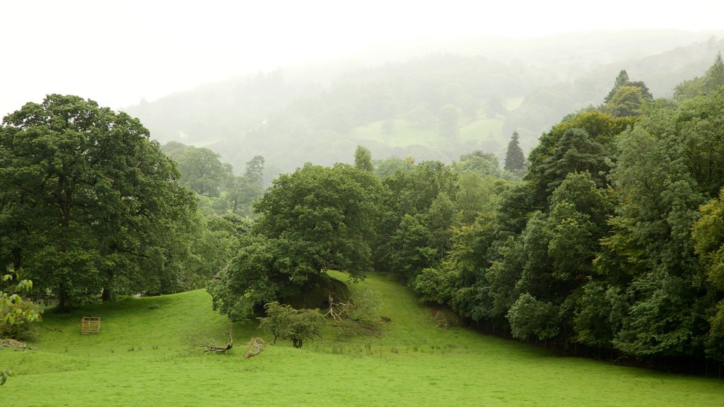 Lake District National Park showing mist or fog and a garden