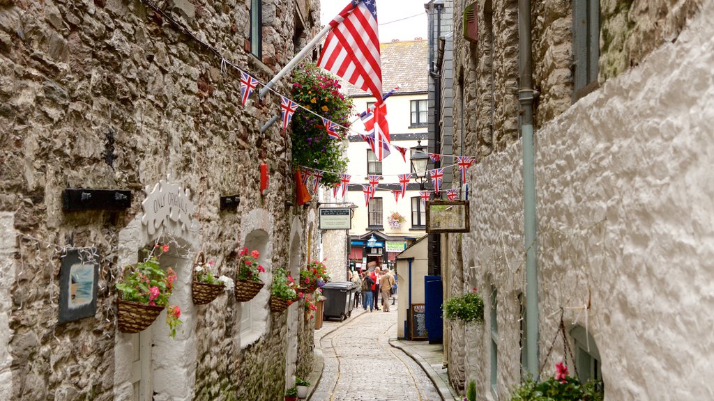 Plymouth showing street scenes, a coastal town and flowers