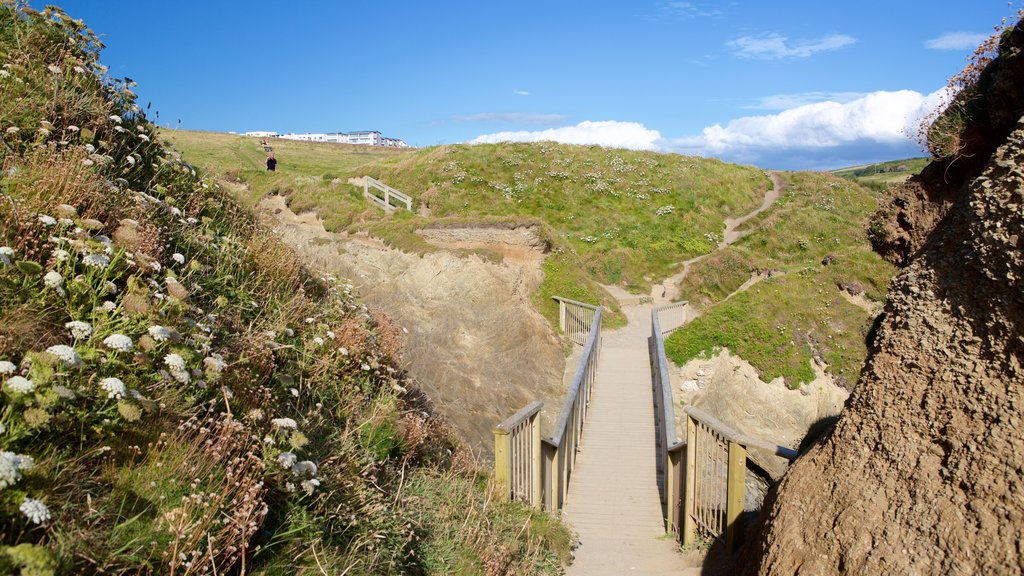 Porth Beach showing flowers and a coastal town