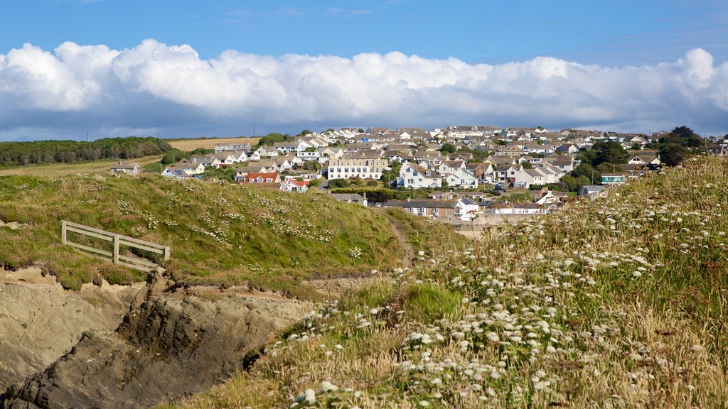 Porth Beach featuring a coastal town