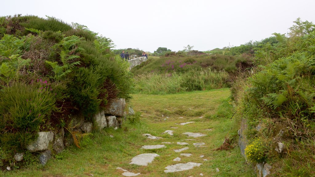 Chysauster Ancient Village featuring tranquil scenes