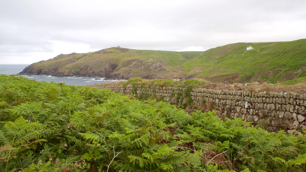 Cape Cornwall que inclui paisagem e paisagens litorâneas