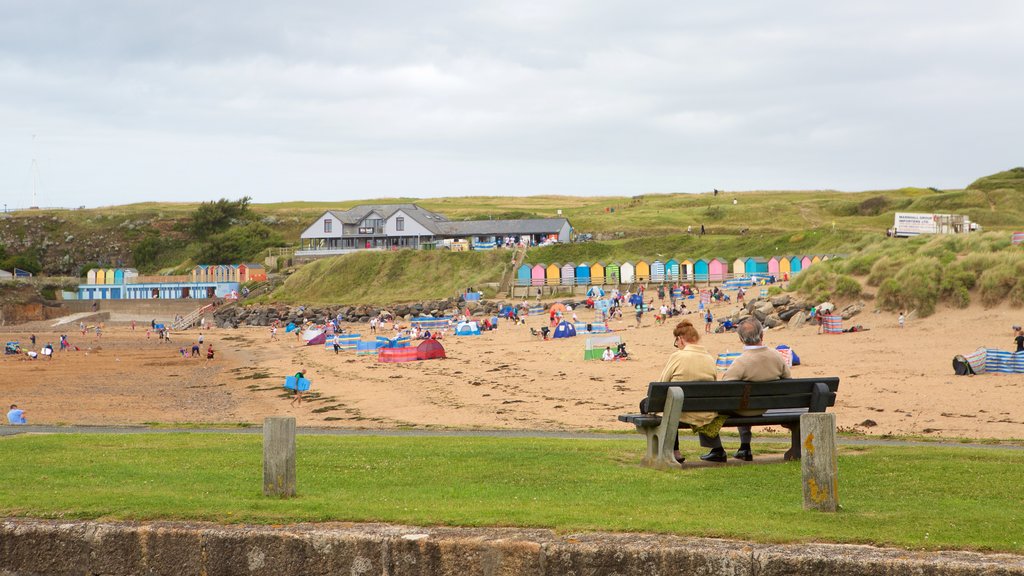 Bude Beach featuring a sandy beach and a coastal town as well as a large group of people