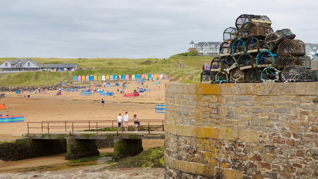 Bude Beach mostrando uma ponte, uma cidade litorânea e uma praia