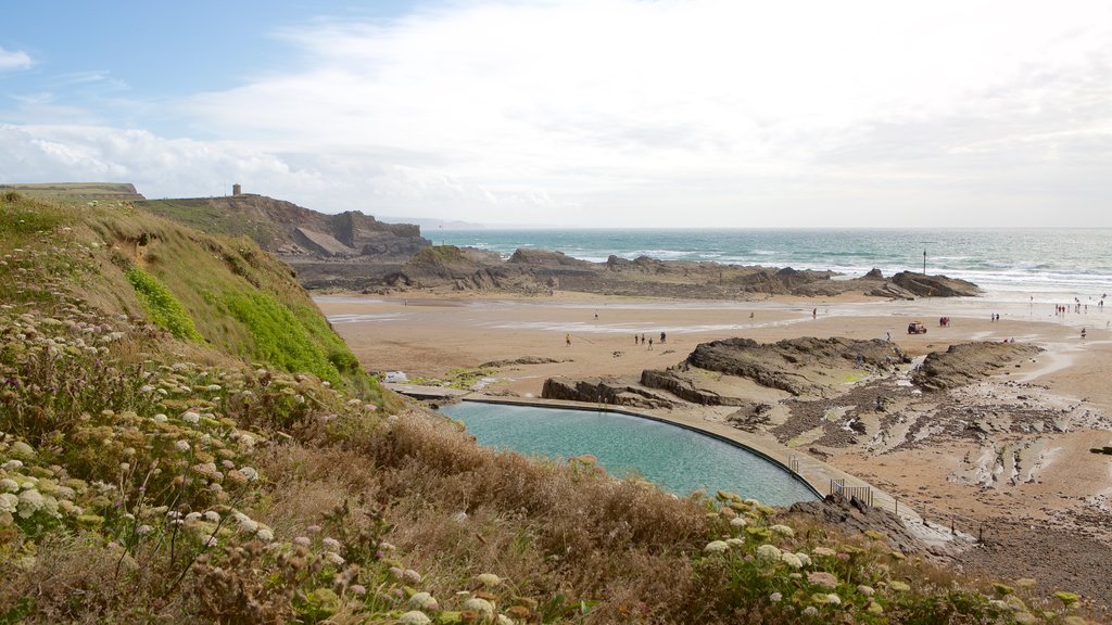 Crooklets Beach featuring rugged coastline and a beach