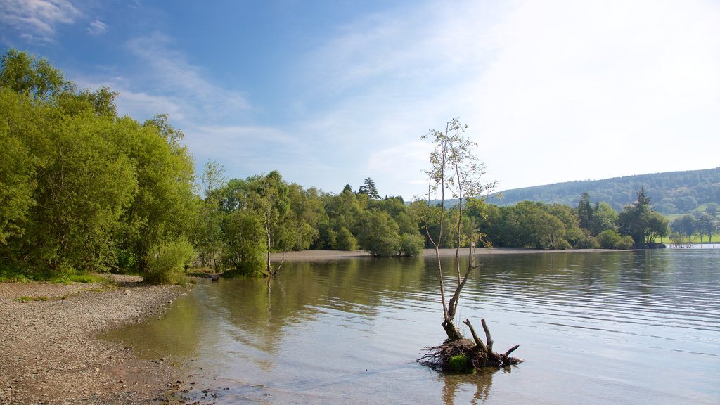 Coniston Water bevat een meer of poel en een kiezelstrand