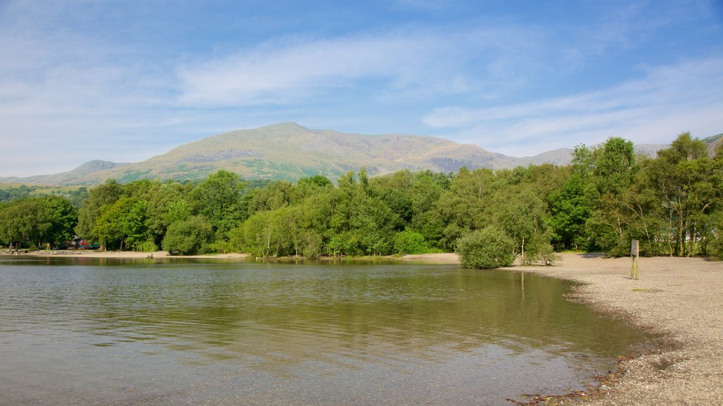 Coniston Water johon kuuluu kivinen ranta ja metsät