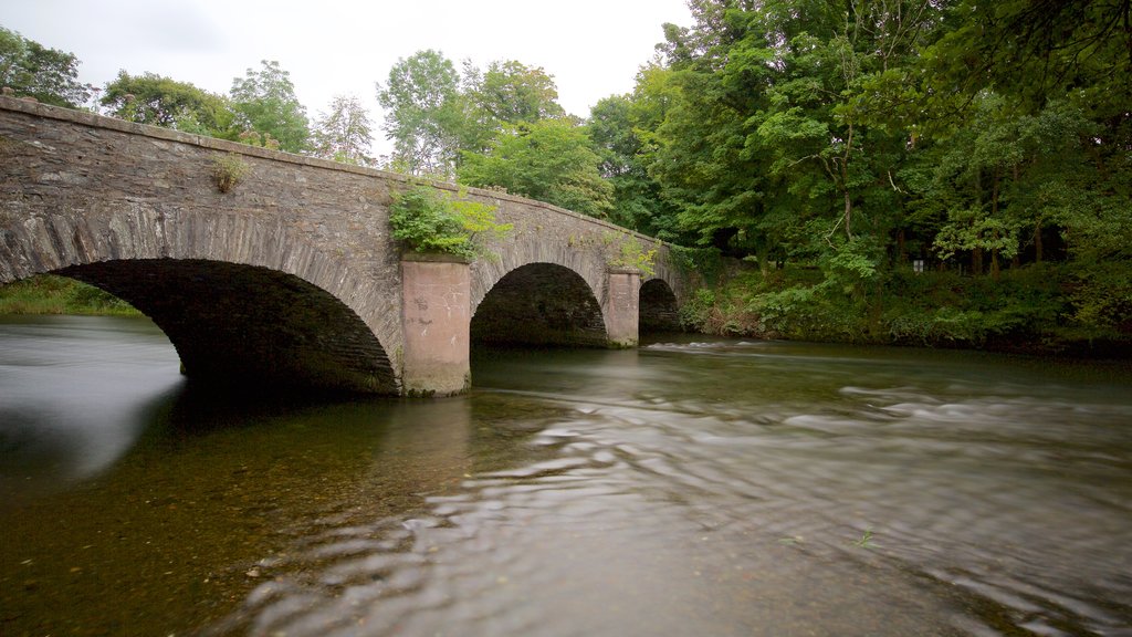 Lakeside featuring a bridge and a river or creek