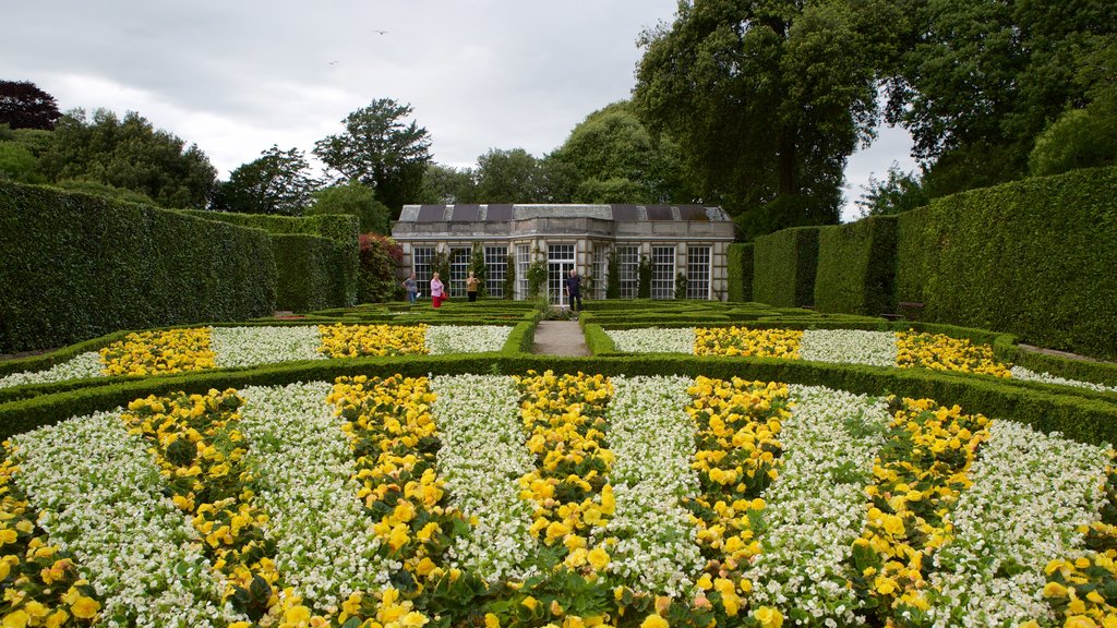 Mt. Edgcumbe featuring flowers and a park