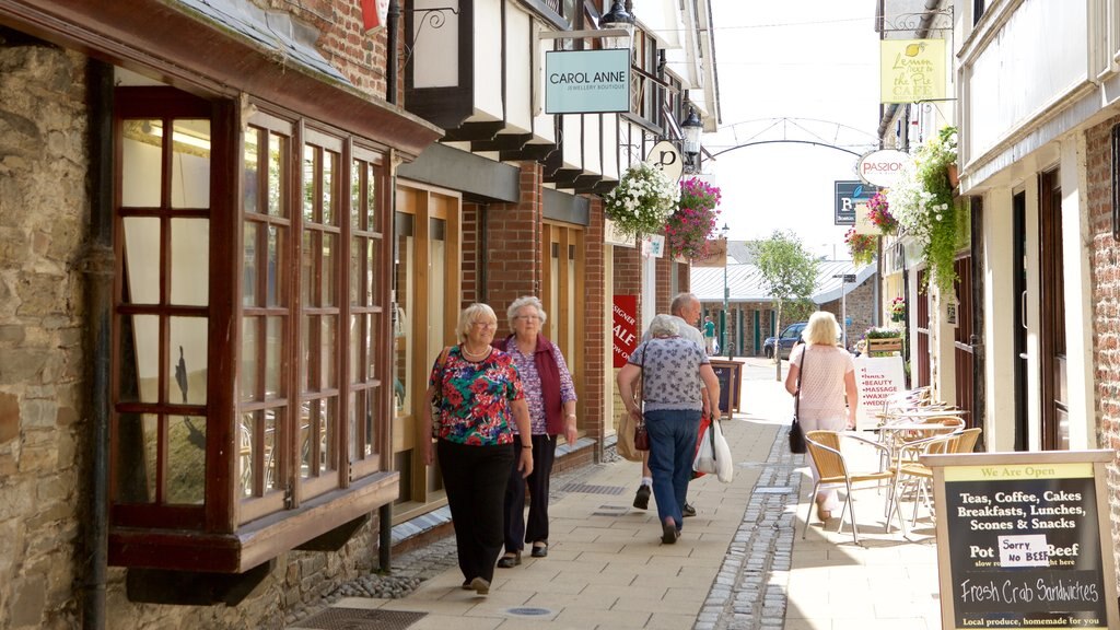 Barnstaple que incluye una pequeña ciudad o aldea, escenas de café y imágenes de calles