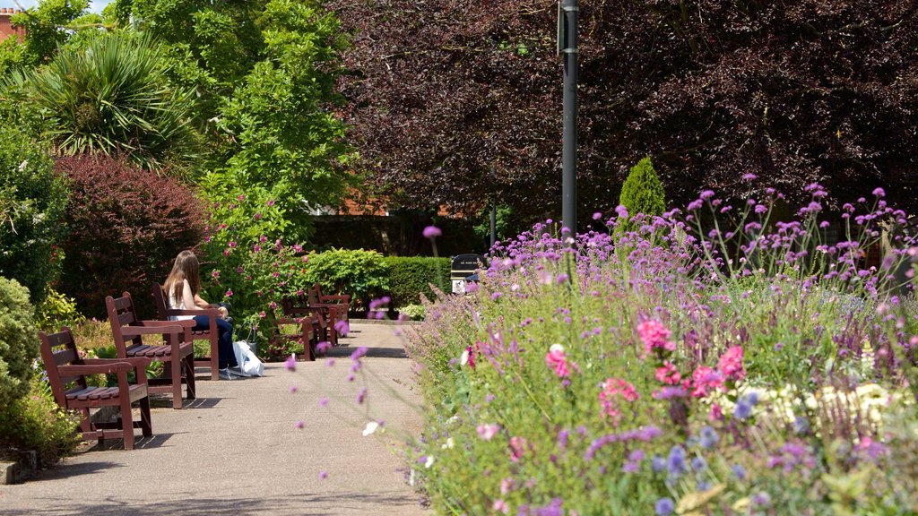 Exmouth ofreciendo flores y un parque