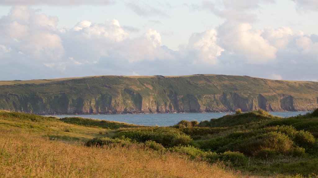 Woolacombe which includes tranquil scenes, landscape views and general coastal views