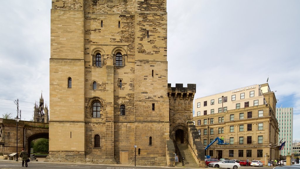 Castle Keep showing heritage elements and château or palace