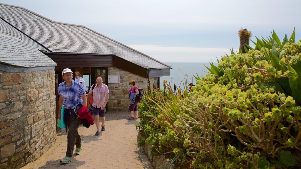 Minack Theatre toont theaters en ook een klein groepje mensen