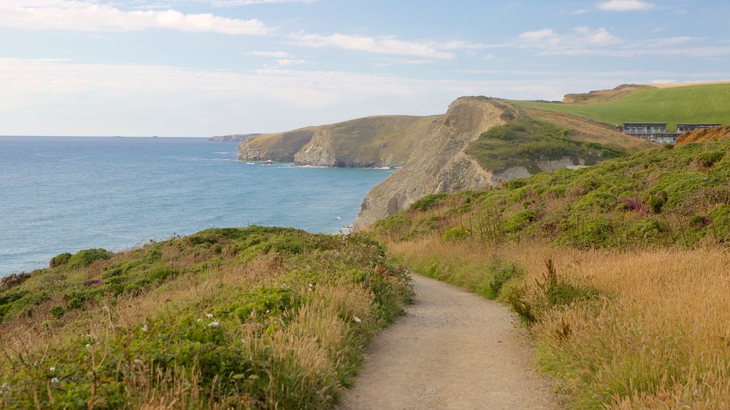 Watergate Bay showing tranquil scenes and rocky coastline