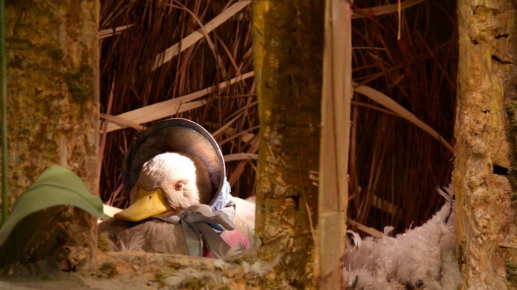 World of Beatrix Potter showing bird life