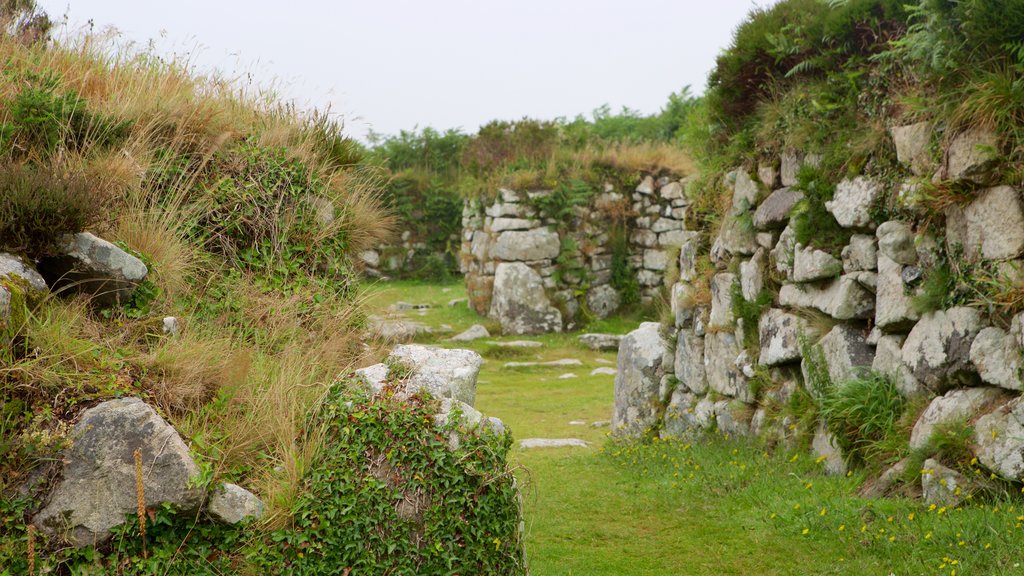 Chysauster Ancient Village que inclui elementos de patrimônio e uma ruína