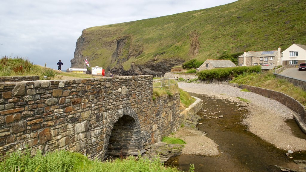 Crackington Haven featuring rugged coastline and a bridge