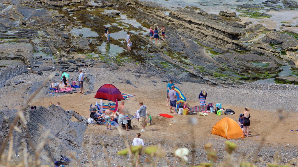 Crackington Haven mostrando litoral rocoso y una playa de guijarros y también un grupo pequeño de personas