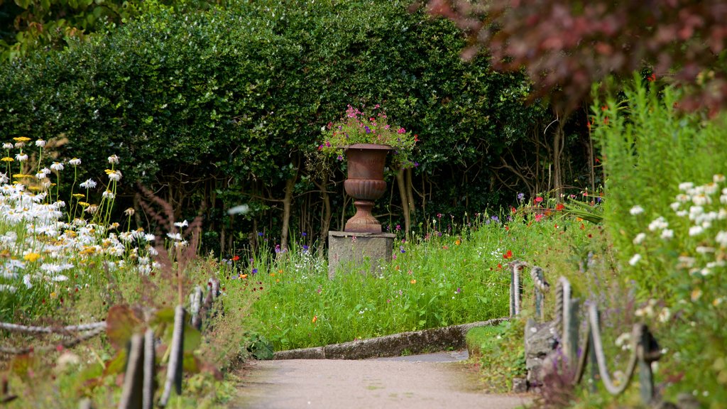 Lake District Visitor Centre at Brockhole showing flowers and a park