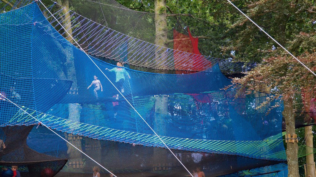 Lake District Visitor Centre at Brockhole showing a playground as well as children