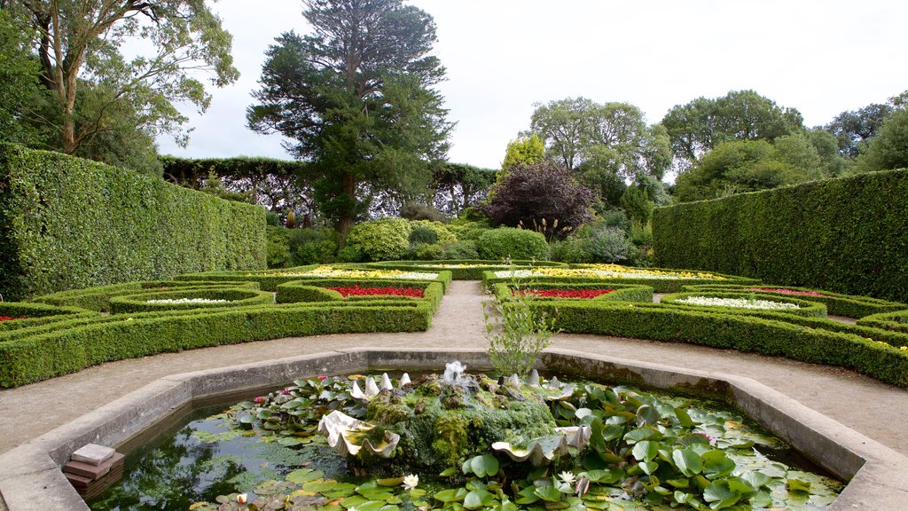 Mount Edgcumbe que incluye un parque y un estanque