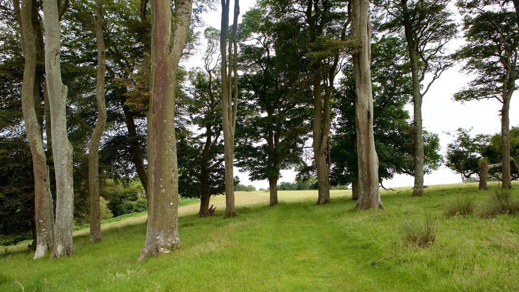 Mount Edgcumbe House and Country Park featuring a garden