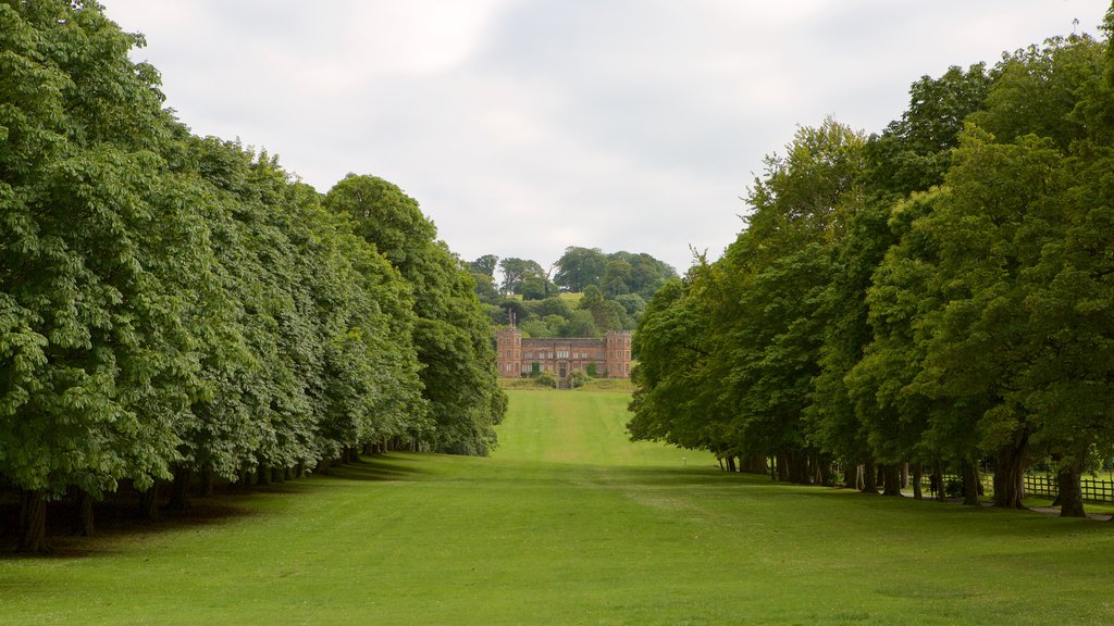 Mount Edgcumbe montrant parc