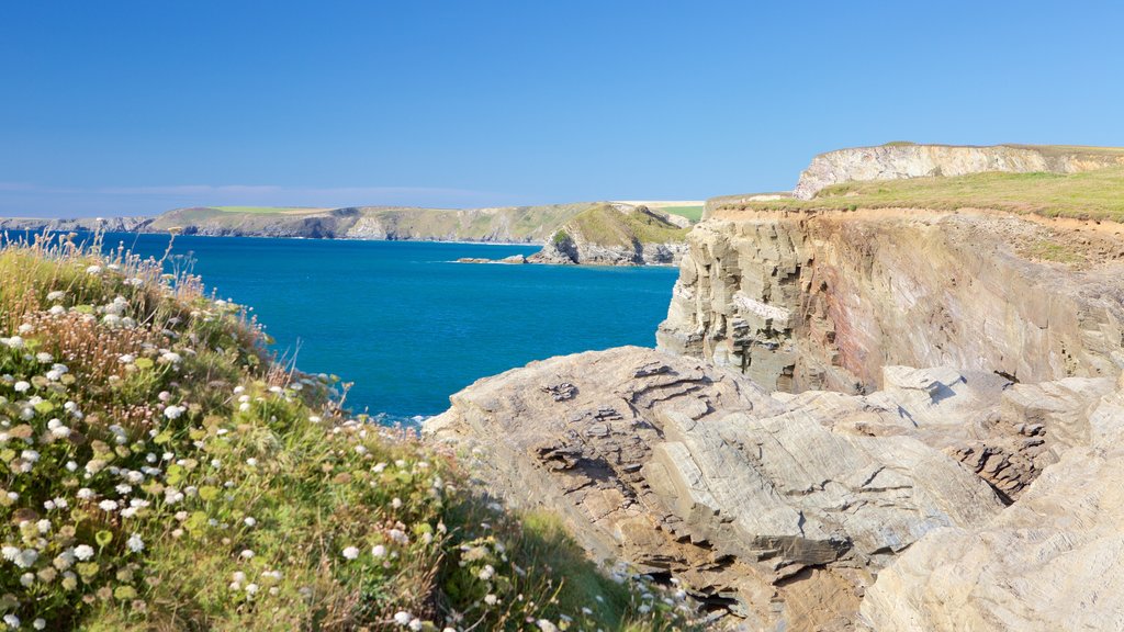 Porth Beach showing general coastal views