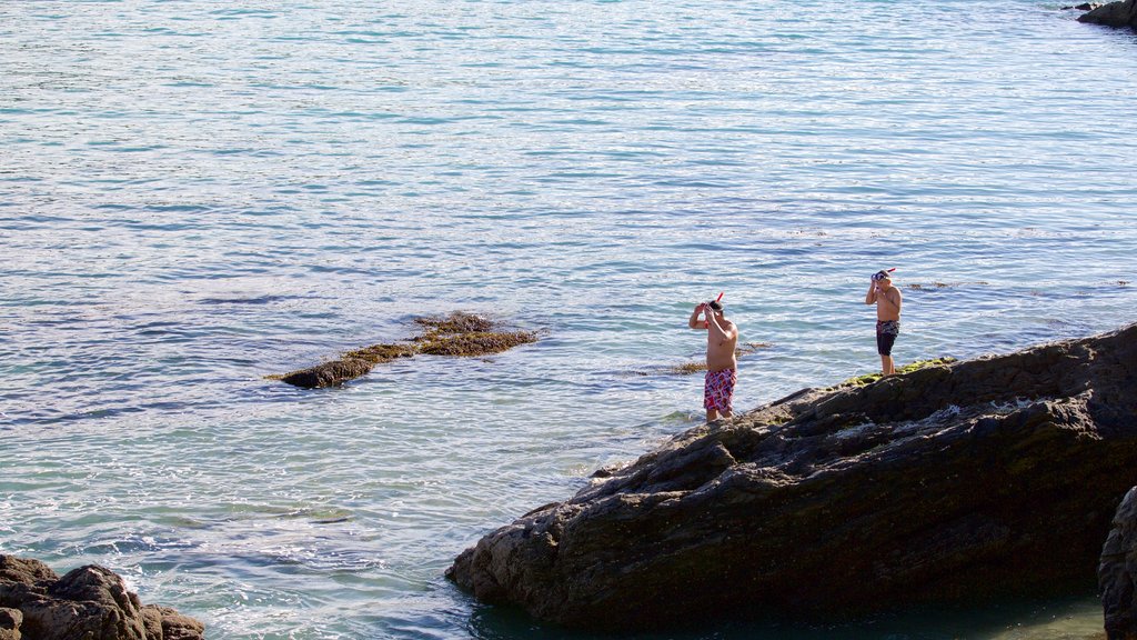 Porth Beach mostrando snorkel e paisagens litorâneas