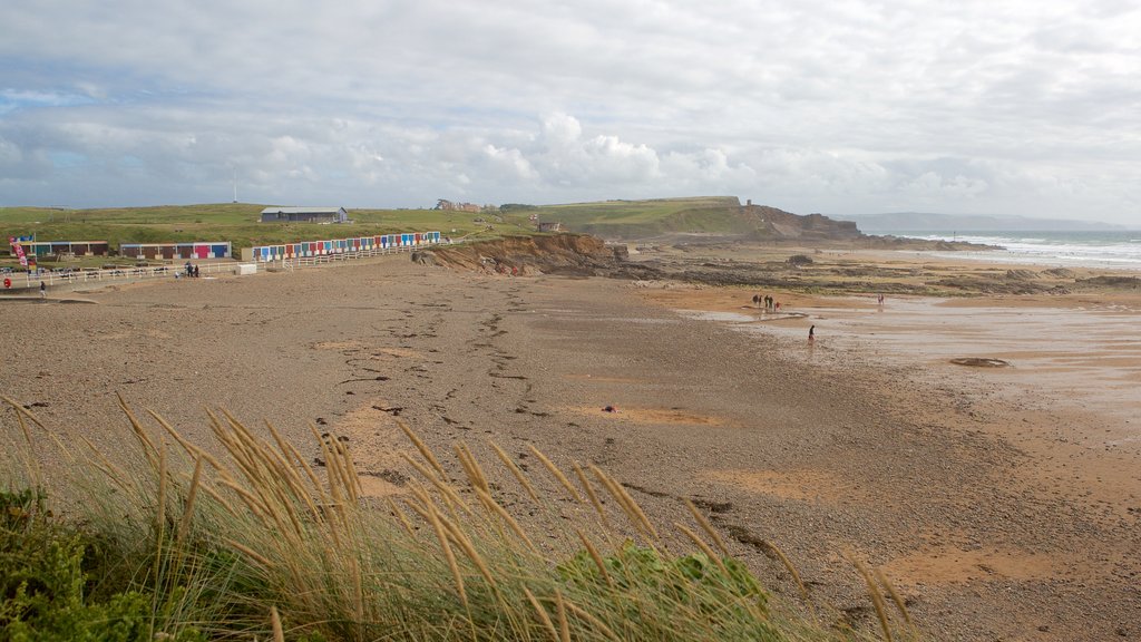 Crooklets Beach showing general coastal views