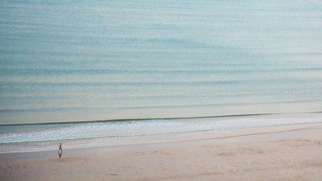 North Bay Beach showing general coastal views and a beach