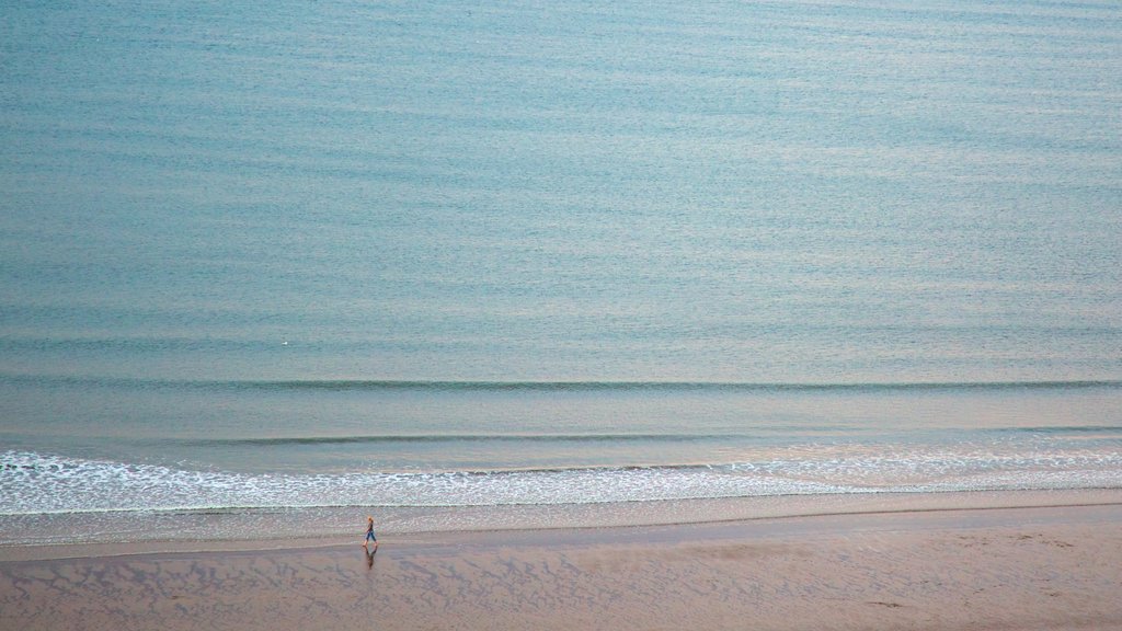 North Bay Beach showing general coastal views and a beach