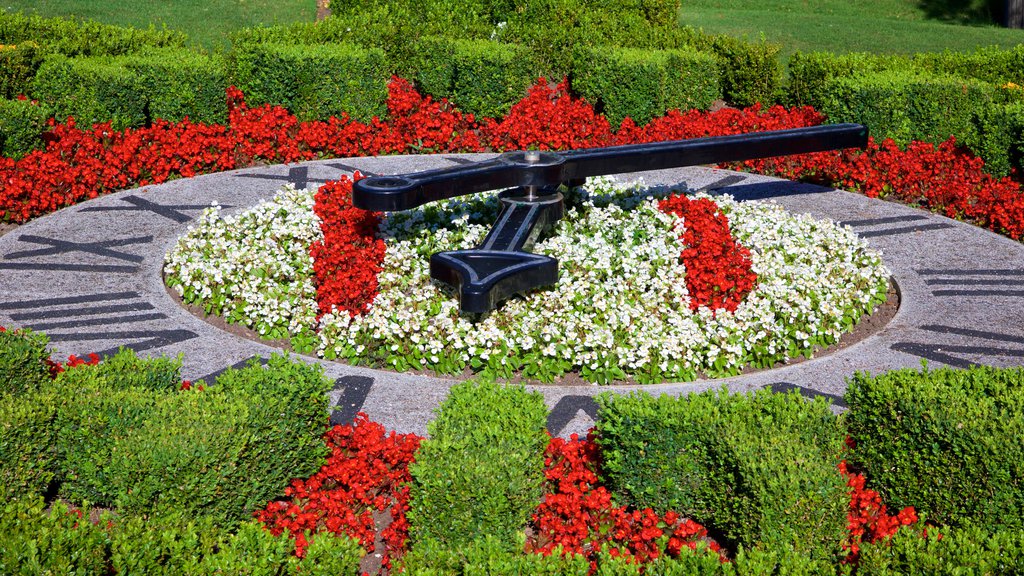 Whitby featuring flowers and a park