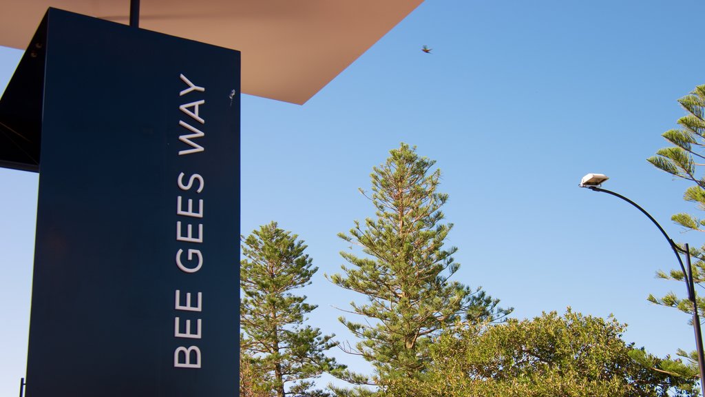 Bee Gees Way featuring outdoor art and signage