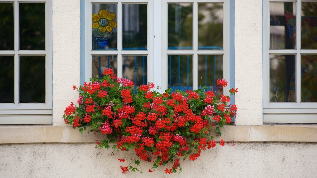 Luxemburgo caracterizando flores