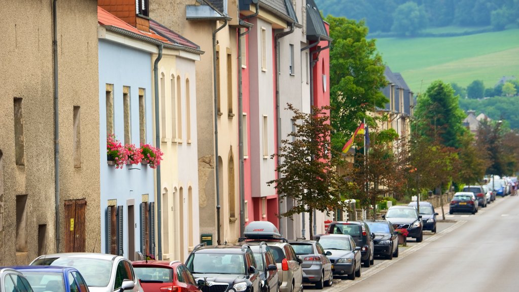 Diekirch que incluye una ciudad