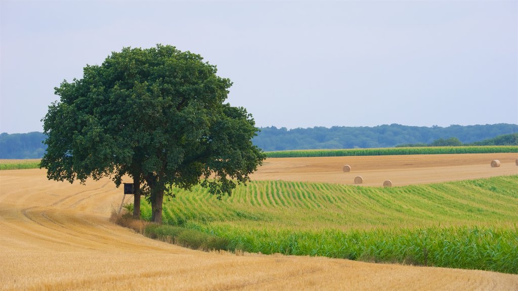 Luxembourg og byder på landbrugsområde