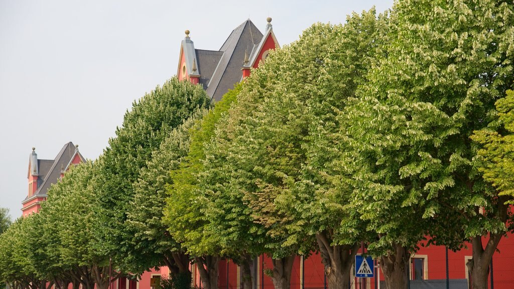 Diekirch showing street scenes