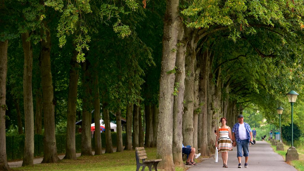 Echternach showing a park as well as a couple