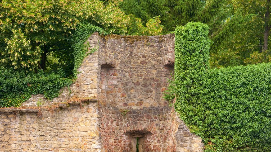 Echternach featuring heritage architecture and a park