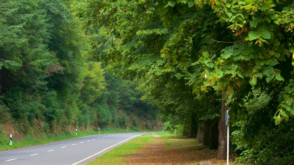 Vianden que incluye imágenes de bosques