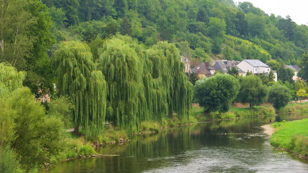 Diekirch which includes a small town or village and a river or creek