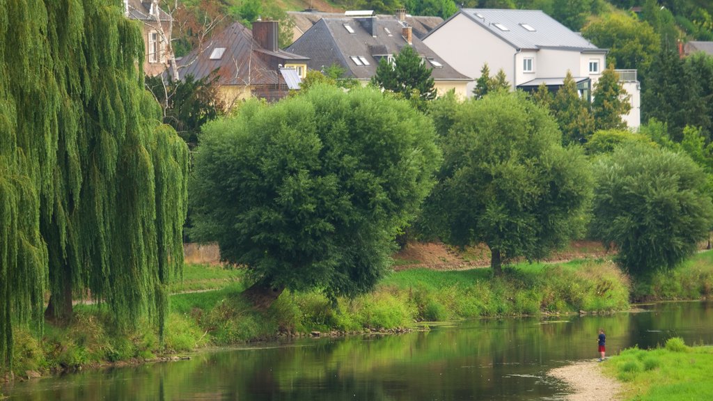 Diekirch ofreciendo un río o arroyo y una pequeña ciudad o aldea